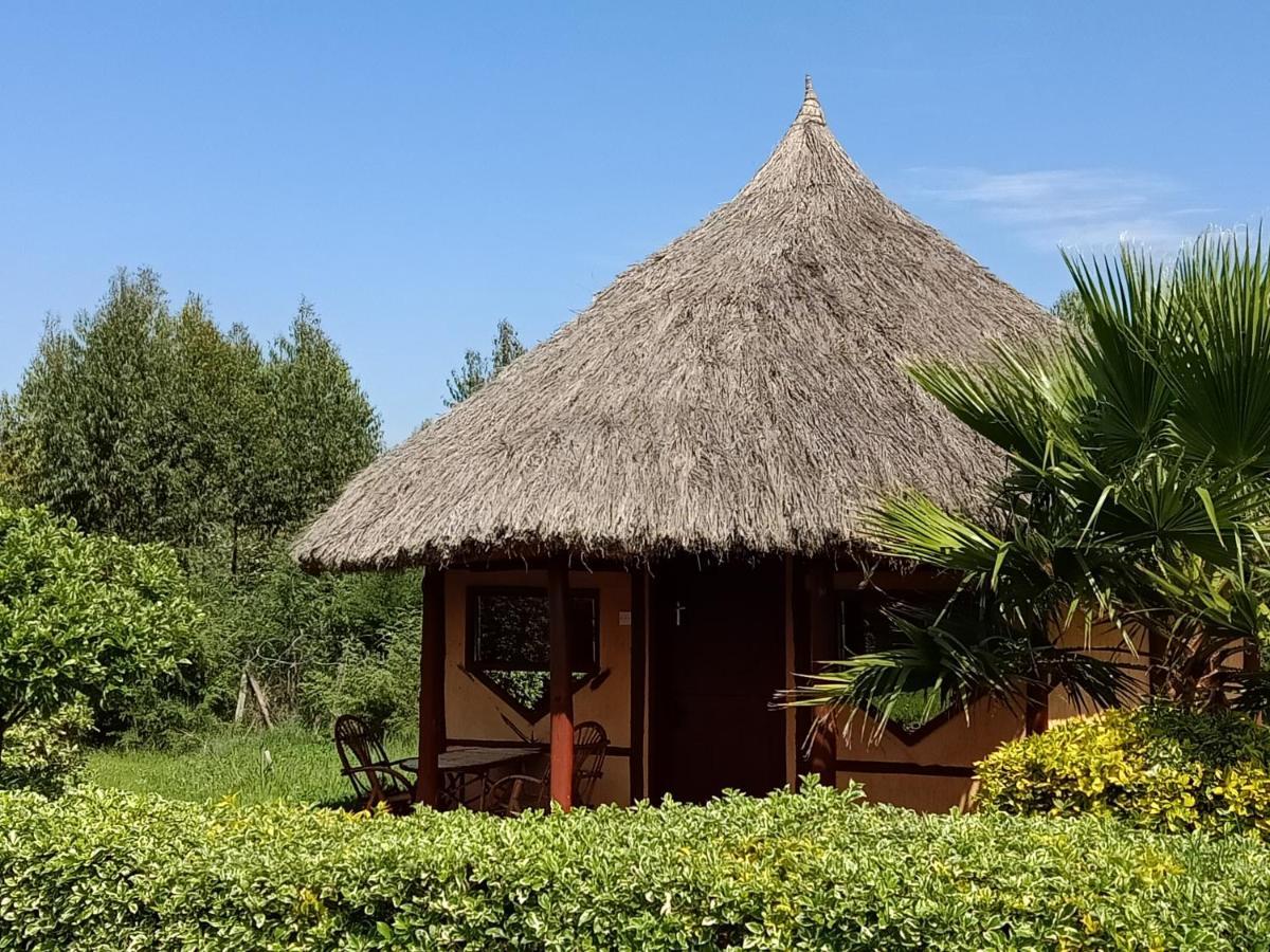 The Great Circle Lodge Нанюки Екстериор снимка