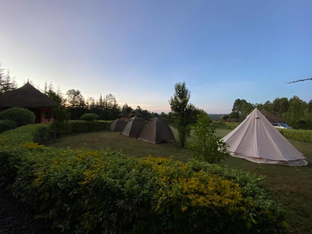 The Great Circle Lodge Нанюки Екстериор снимка