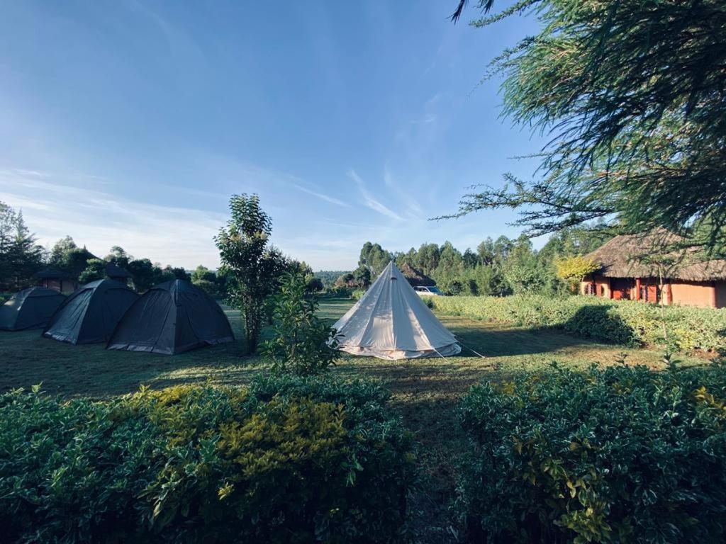 The Great Circle Lodge Нанюки Екстериор снимка
