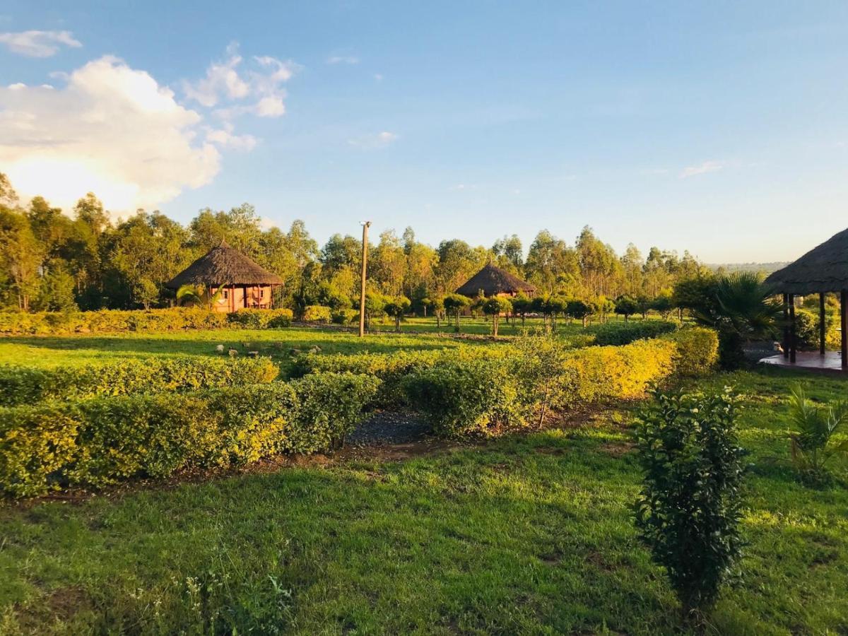 The Great Circle Lodge Нанюки Екстериор снимка
