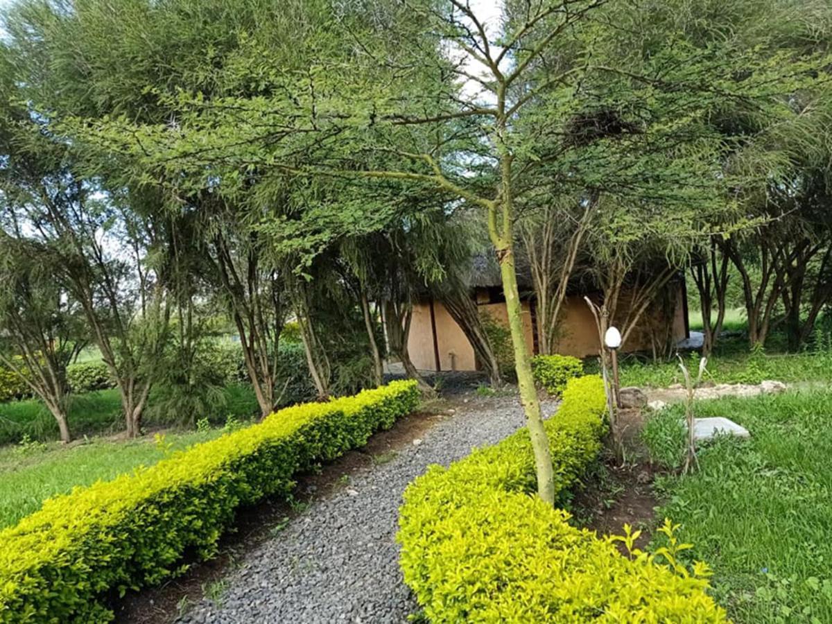 The Great Circle Lodge Нанюки Екстериор снимка